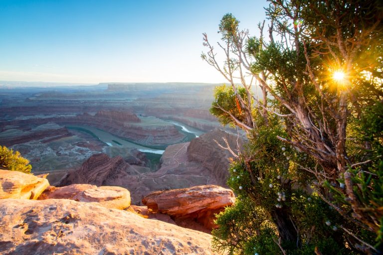 The Thrill of Exploring the Great Outdoors: A Journey to Remember